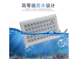見過(guò)會(huì)游泳的投光燈嗎？---思拓達(dá)光電