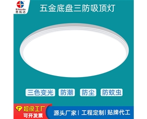 五金鐵底盤(pán)三防吸頂燈